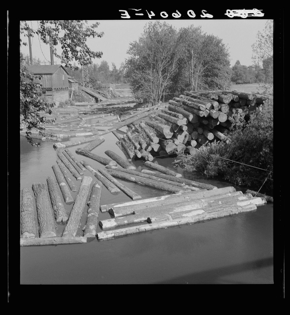 [Untitled photo, possibly related to: Small sawmill on the Marys River near Corvallis, Oregon]. Sourced from the Library of…