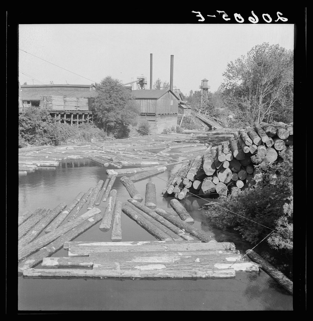 Small sawmill on the Marys River near Corvallis, Oregon. Sourced from the Library of Congress.