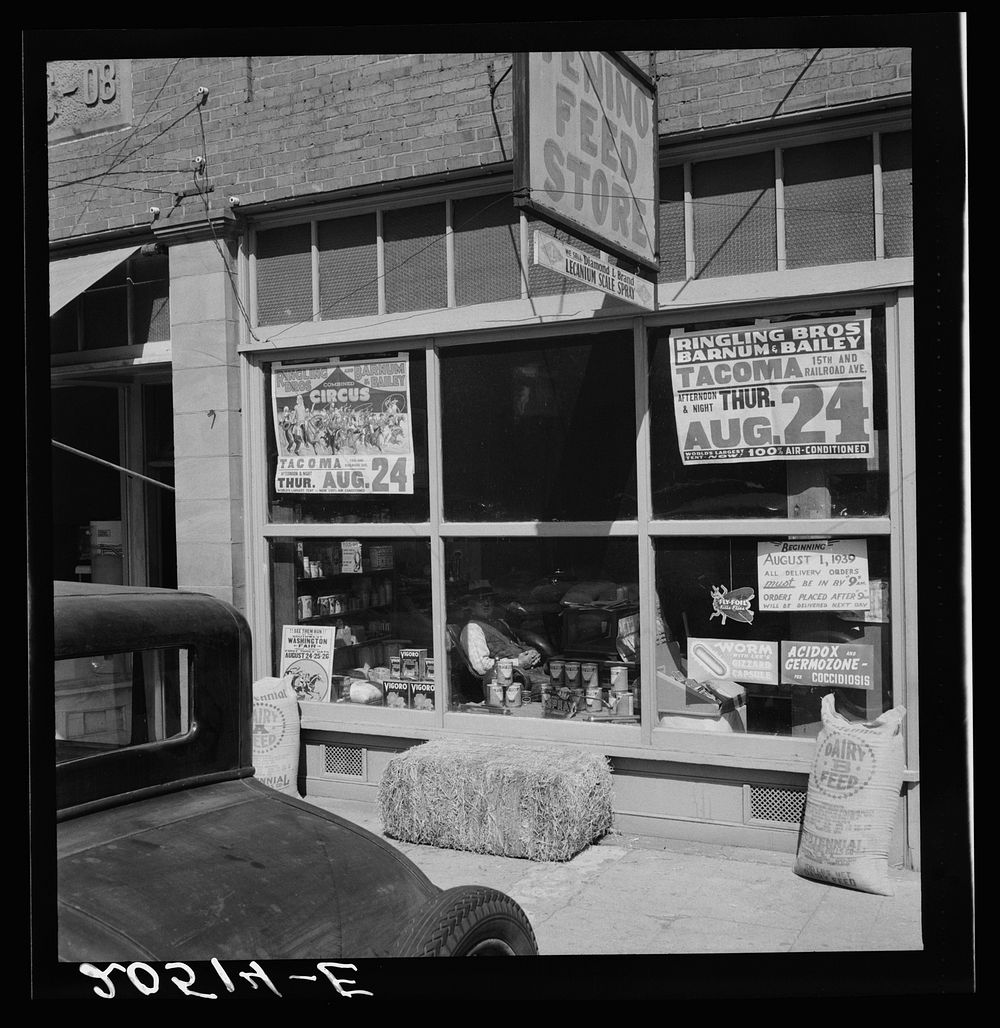 Western Washington, Thurston County, Tenino. Feed store opposite bank.. Sourced from the Library of Congress.