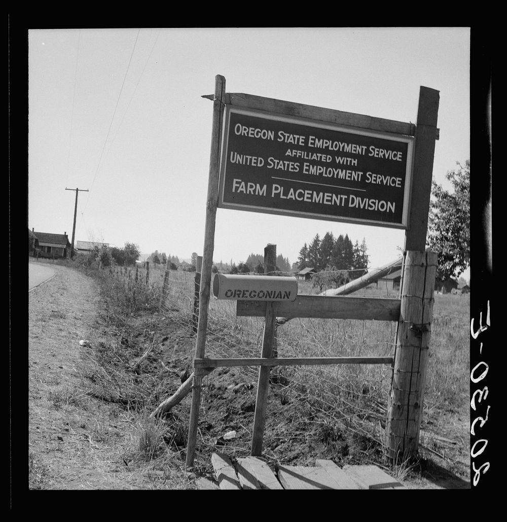 Oregon, Marion County, near West Stayton. A seasonal office is maintained by the State Employment Service during the bean…