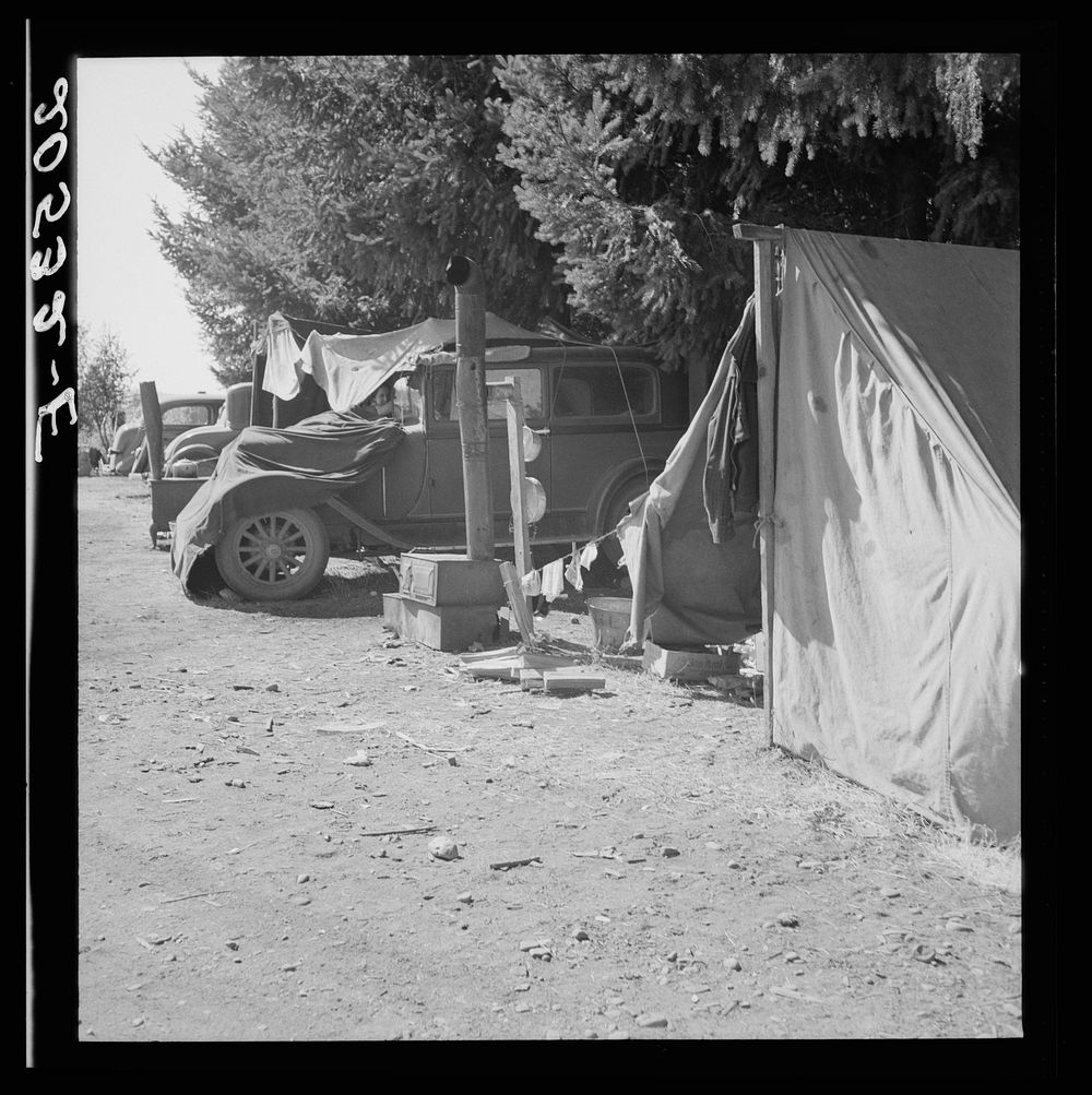 Oregon, Marion County, near West Stayton. Another migratory family camp during bean harvest.. Sourced from the Library of…