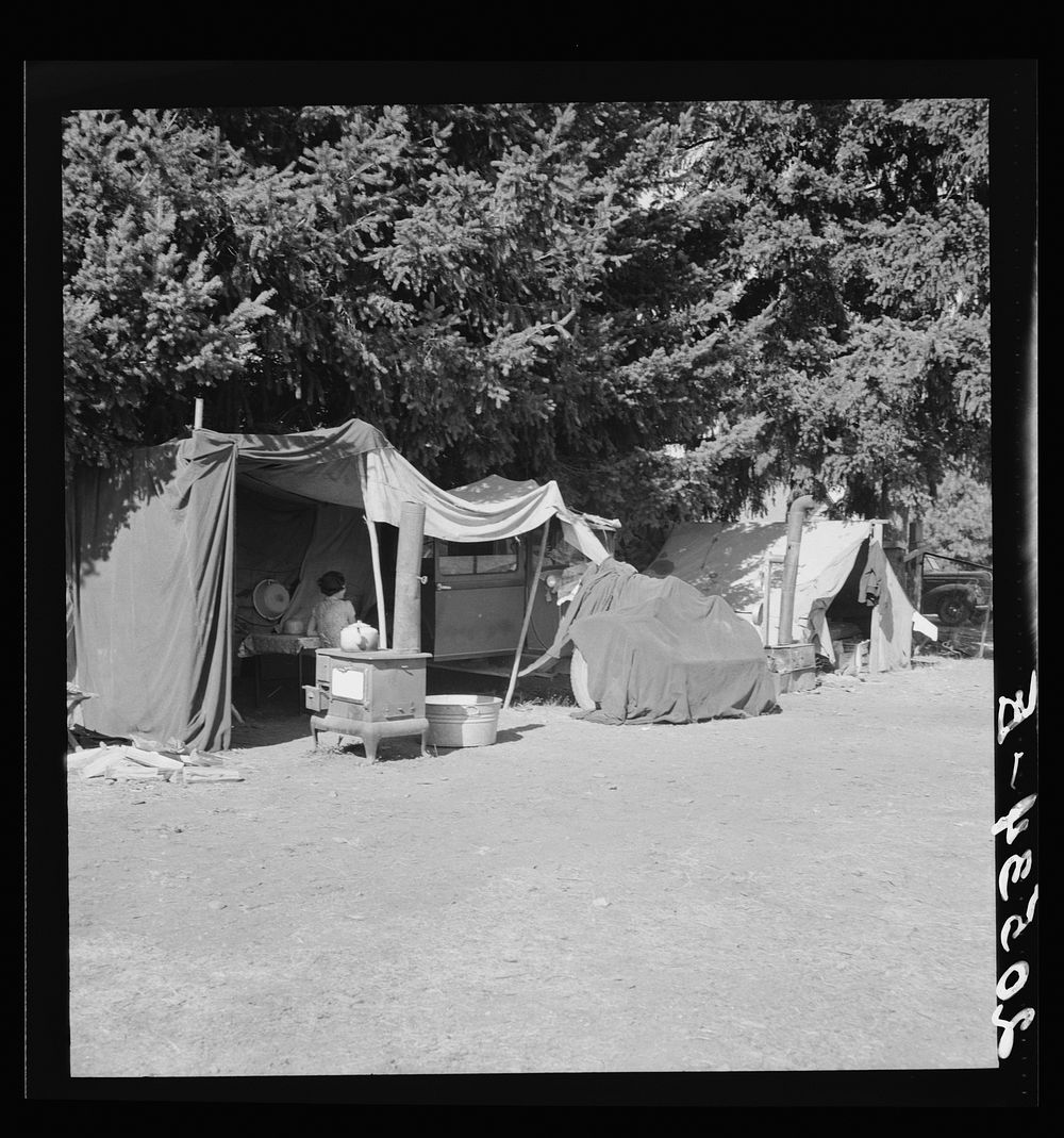Oregon, Marion County, near West Stayton. Camp representative of fourteen in group. On grower's land adjoining the bean…