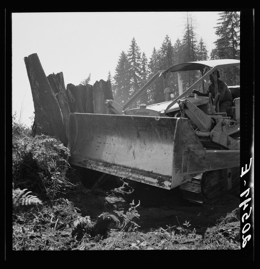 Untitled photo, possibly related to: Western Washington, Lewis County, near Vader. Bulldozer equipped with grader type…
