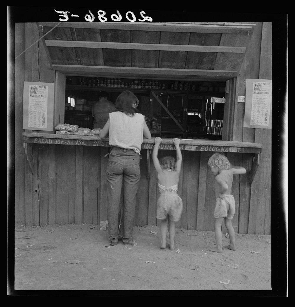 Hop picker, once Nebraska farm owner. Near Independence, Polk County, Oregon. See general caption number 45 by Dorothea Lange