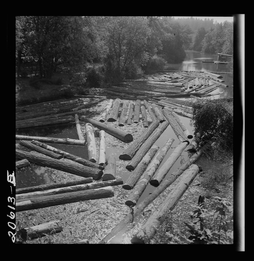 Logs at sawmill on Marys River near Corvallis, Oregon. Sourced from the Library of Congress.
