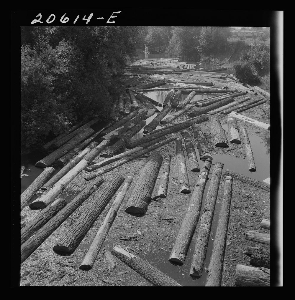 Logs at sawmill on Marys River near Corvallis, Oregon. Sourced from the Library of Congress.