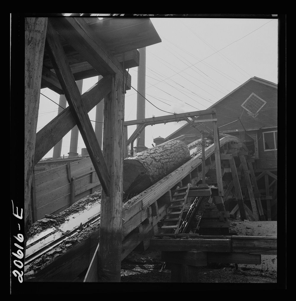 Log chute at Pelican Bay Lumber Company mill. Near Klamath Falls, Oregon. Sourced from the Library of Congress.