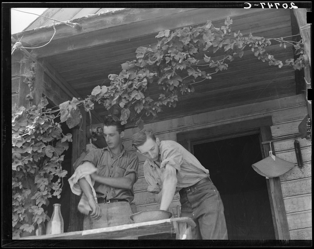 Oregon. Independence, Polk County. Hop farmer's sons, washing for noon meal on back porch. They supervise the migratory…