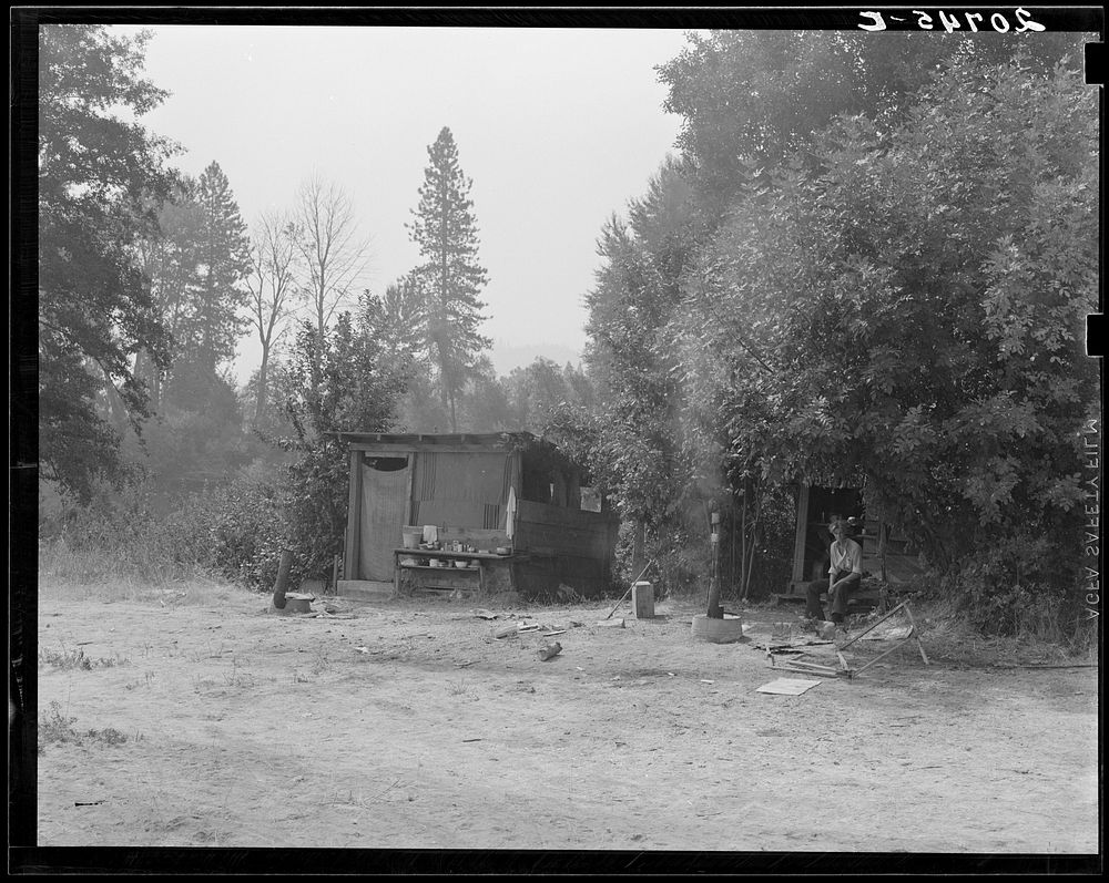 Oregon. Josephine County, near Grants Pass. One of a row of shelters. Living quarters for hop pickers' families. Sourced…