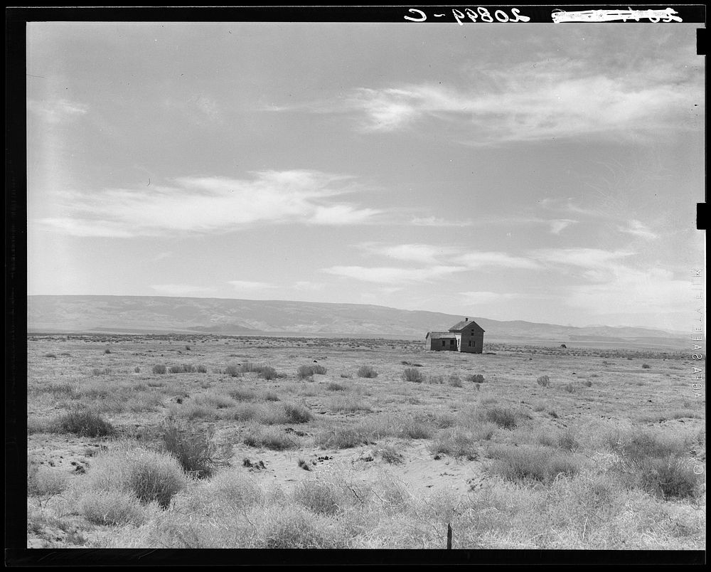 South of Quincy, Grant County, Washington. Abandoned dry land farm in the Columbia Basin. See general caption number 35.…