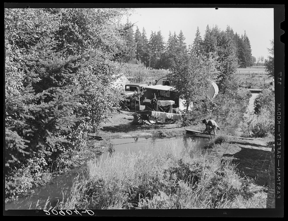 One of a dozen or more small bean pickers camps in immediate vicinity. Near West Stayton, Oregon. General caption number 46.…