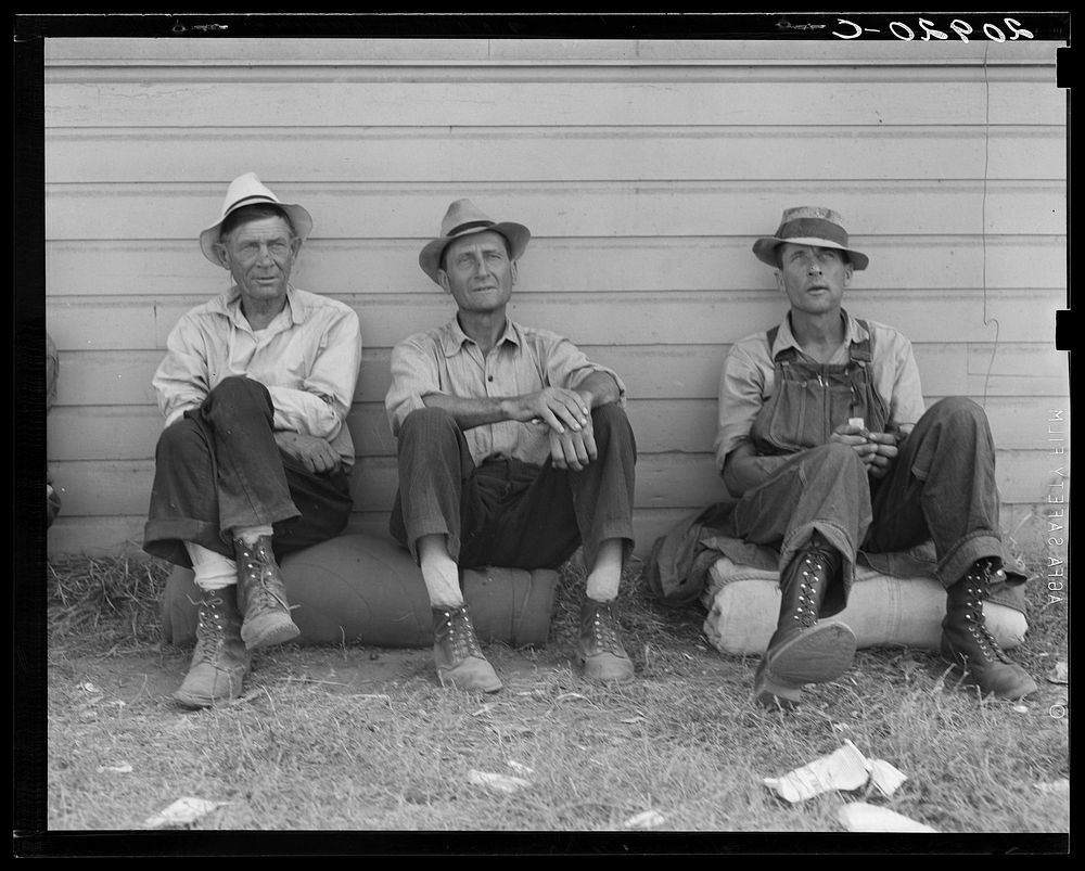 [Untitled photo, possibly related to: Bindle stiffs in town three weeks before opening of Klamath Basin potato harvest.…