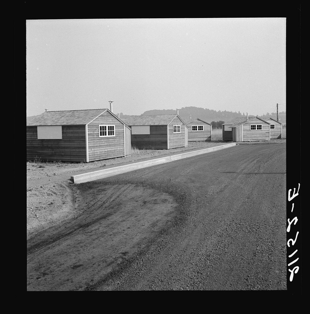 Shows new type of wooden shelter for migratory workers. FSA (Farm Security Administration) camp. Near McMinnville, Oregon.…