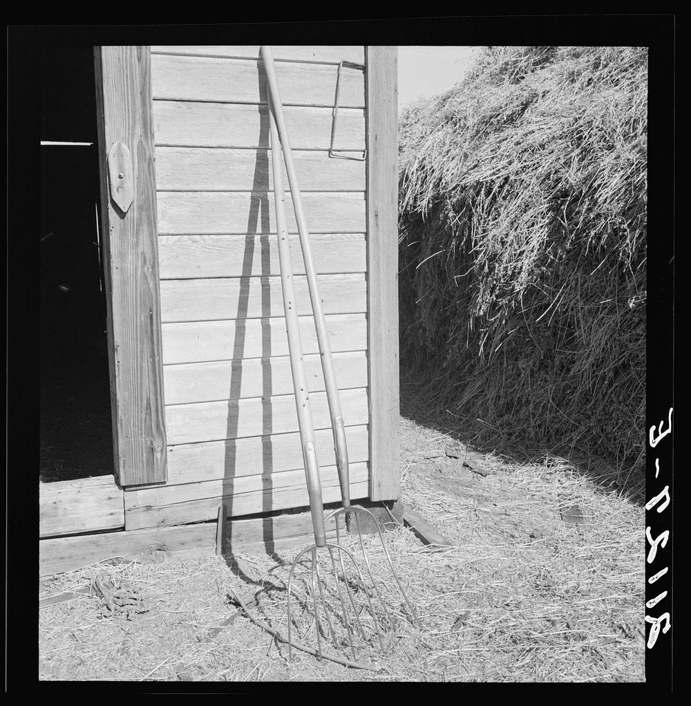 Hay forks. Northern Oregon farm. Morrow County, Oregon. Sourced from the Library of Congress.