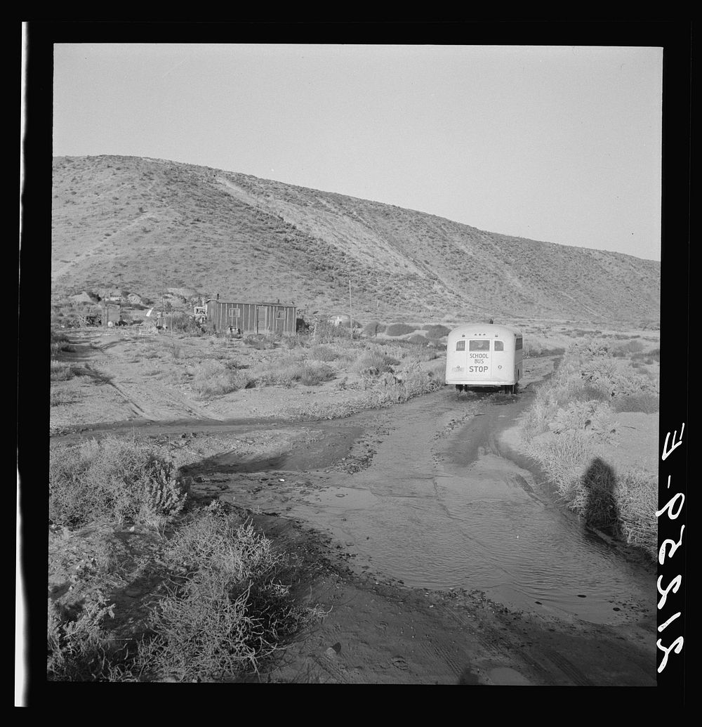 School bus starts up the flat 7:30 a.m. to collect children of new settlers. Malheur County, Oregon. General caption 67-1V.…