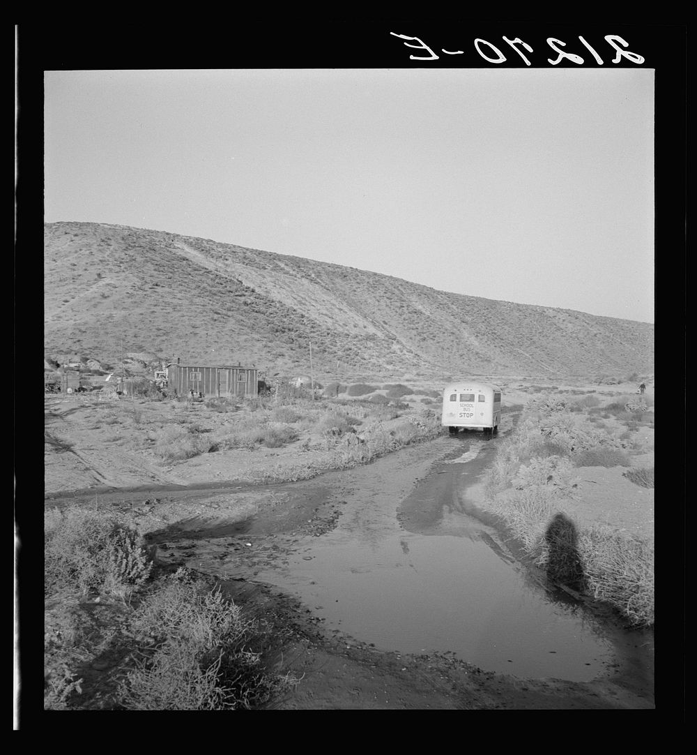 [Untitled photo, possibly related to: School bus starts up the flat 7:30 a.m. to collect children of new settlers. Malheur…