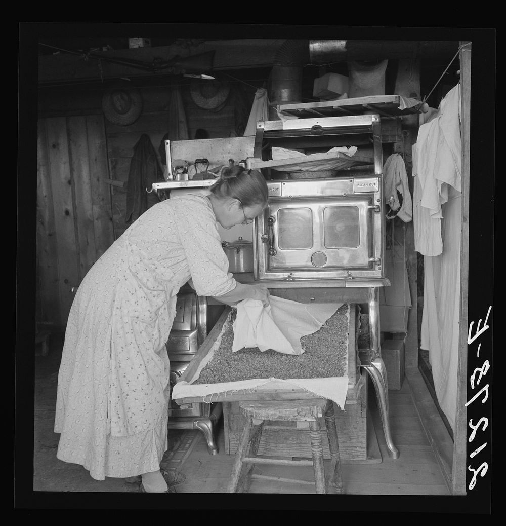 Mrs. Hull drying corn. She hopes to sell enough to help her son through Bible school. Dead Ox Flat, Malheur County, Oregon.…