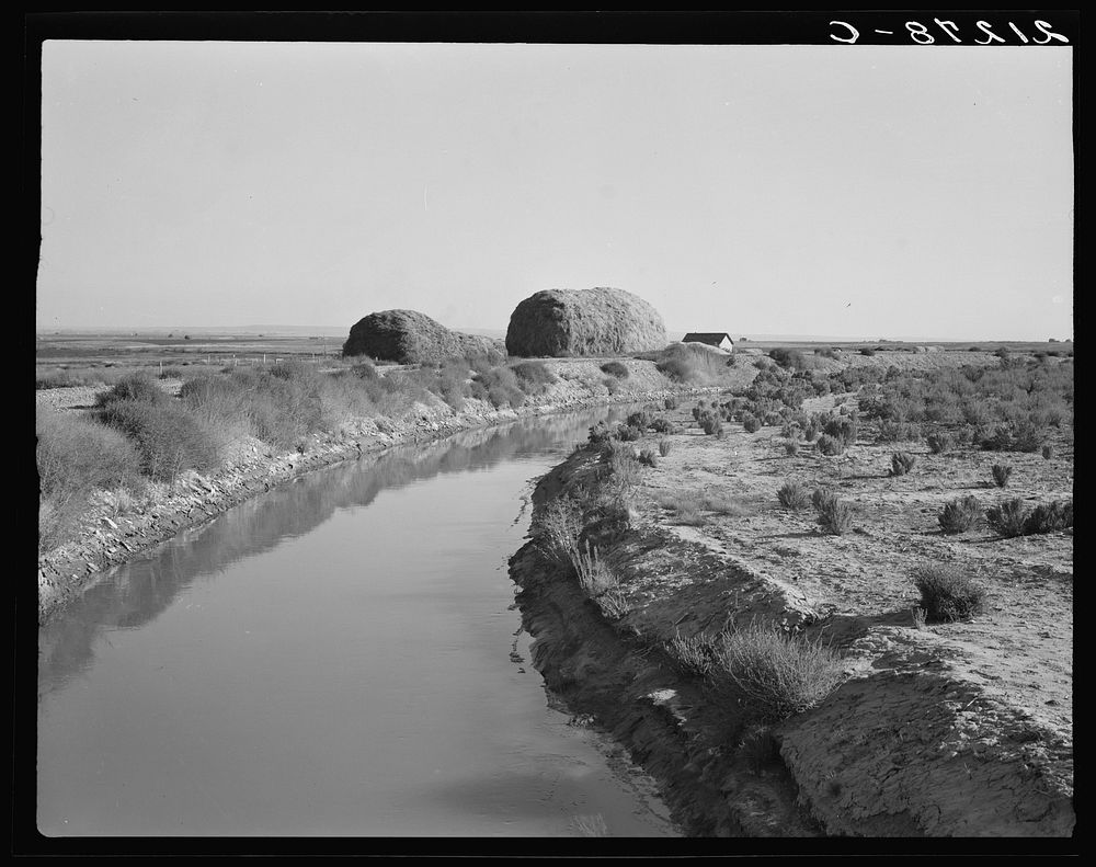 Irrigation canal and the preacher's farm. These large haystacks are characteristic of the country at this period of…