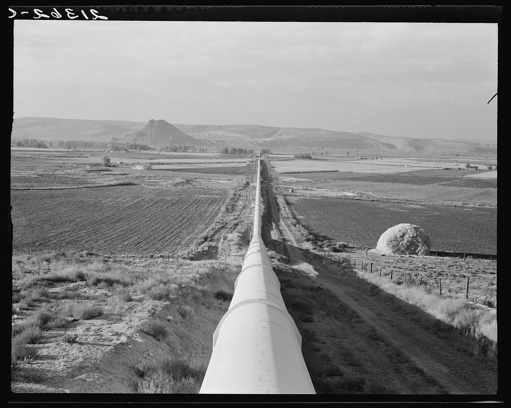 Siphon--the world's longest--which carries water five miles to Dead Ox Flat. It is eight feet in diameter. Malheur County…