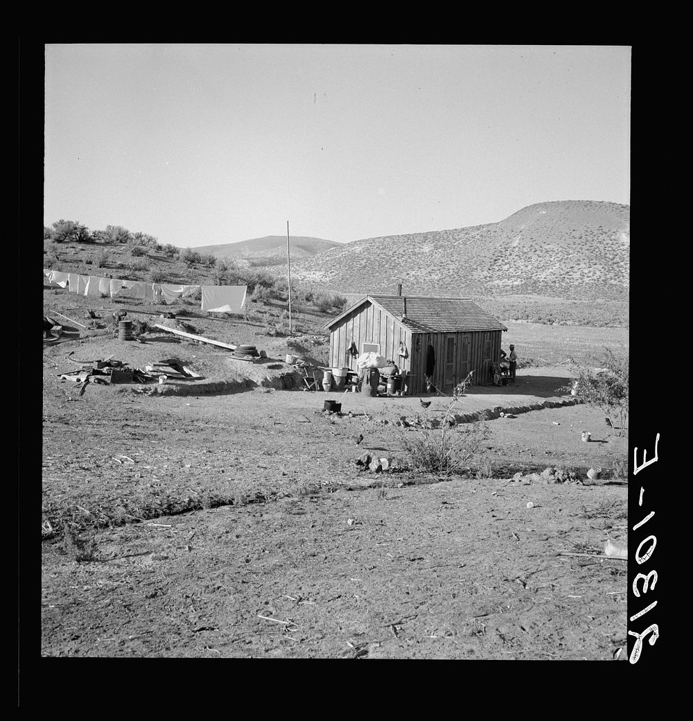 The fartherest house up Cow Hollow. Family came from Oklahoma. Malheur County, Oregon. Sourced from the Library of Congress.