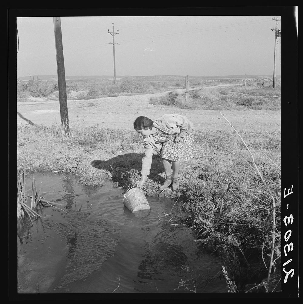 Mrs. Bartheloma dipping water from irrigation ditch for home use. Haul drinking water from town four miles over rough road.…