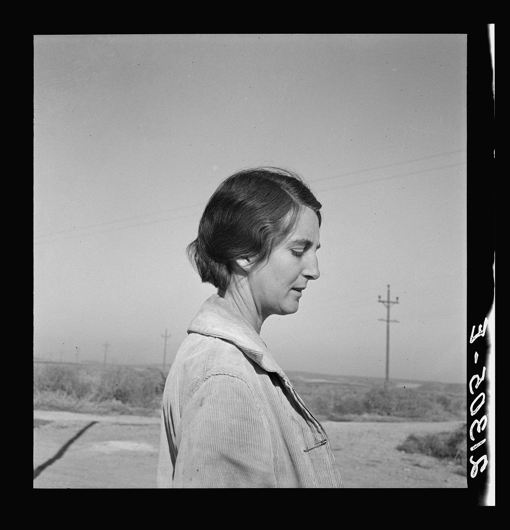 Mrs. Bartheloma, three years from Nebraska farm. Nyssa Heights, Malheur County, Oregon by Dorothea Lange