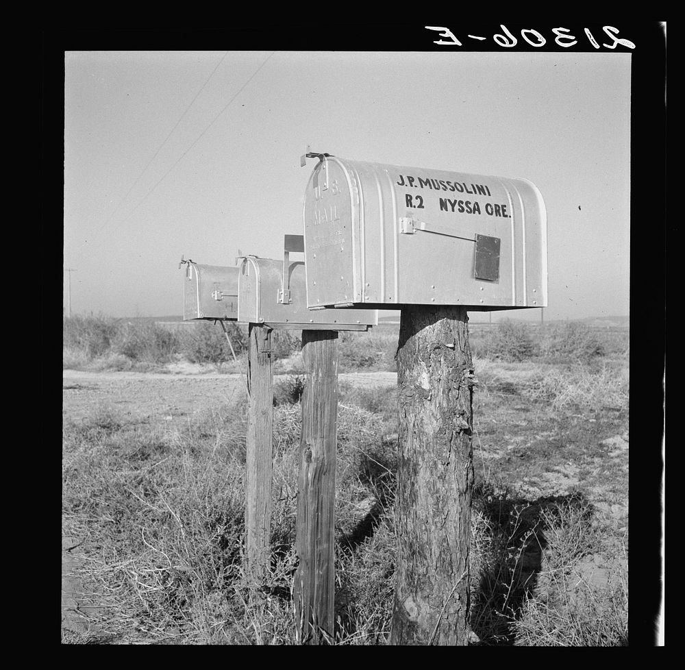 Mailboxes of new settlers on the bench lands. Myssa Heights, Malheur County, Oregon. Sourced from the Library of Congress.