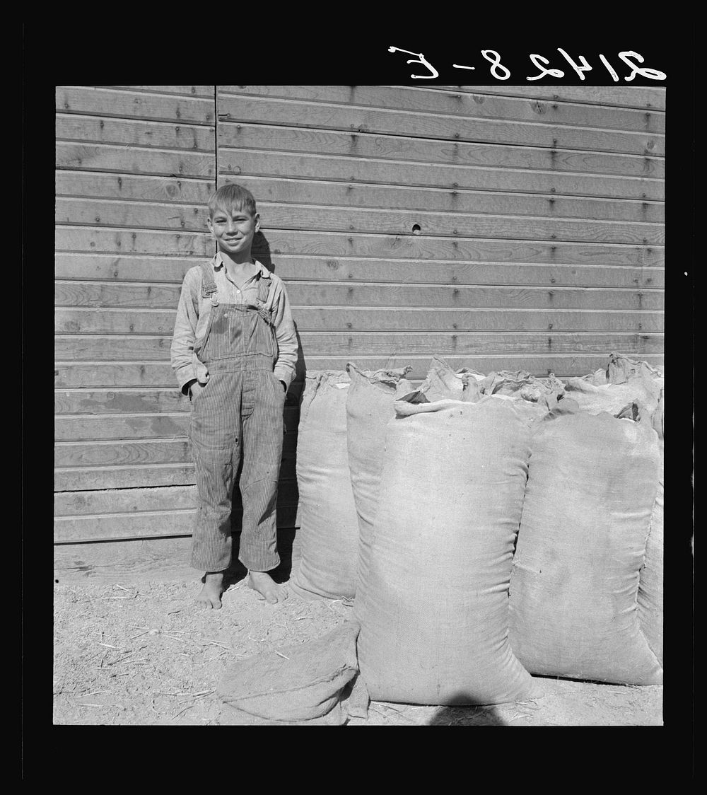 [Untitled photo, possibly related to: One of the younger Cleaver boys on new farm in Malheur County, Oregon]. Sourced from…
