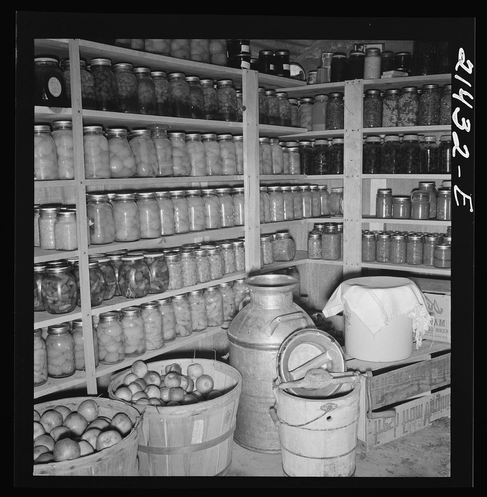 Interior of Mrs. Botner's storage cellar. 800 quarts of "food for the winter." "I miss my chickens so, but we're just not…