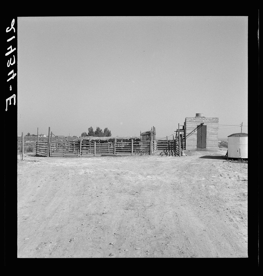 [Untitled photo, possibly related to:  Country slaughterhouse for use of farmers. One mile north of Nyssa, Malheur County…