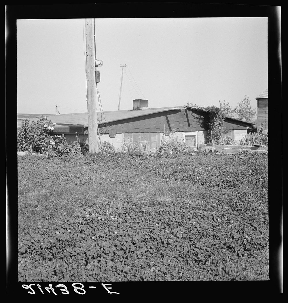 Basement home of one of Stephens brothers, former Nebraska farmer. Nyssa Heights district, Malheur County, Oregon. Sourced…