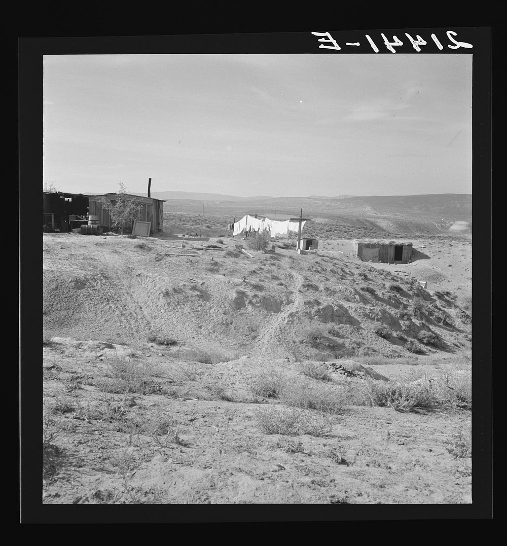 [Untitled photo, possibly related to: The Dazey farm and home. Homedale district, Malheur County, Oregon]. Sourced from the…