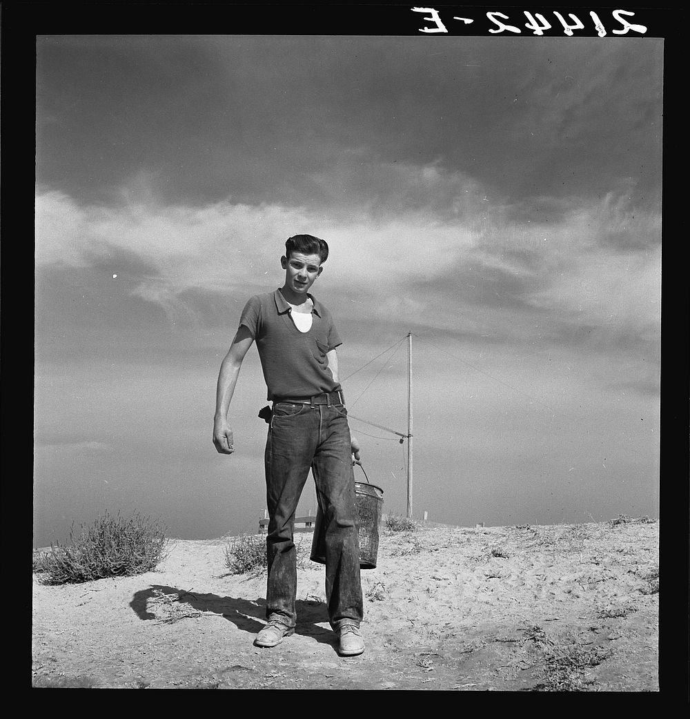 Vale Owyhee irrigation project. Seventeen year old boy going to feed the pigs. Homedale district, Malheur County, Oregon by…