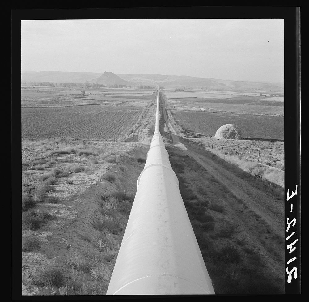 [Untitled photo, possibly related to: Siphon--the world's longest--which carries water five miles to Dead Ox Flat. It is…