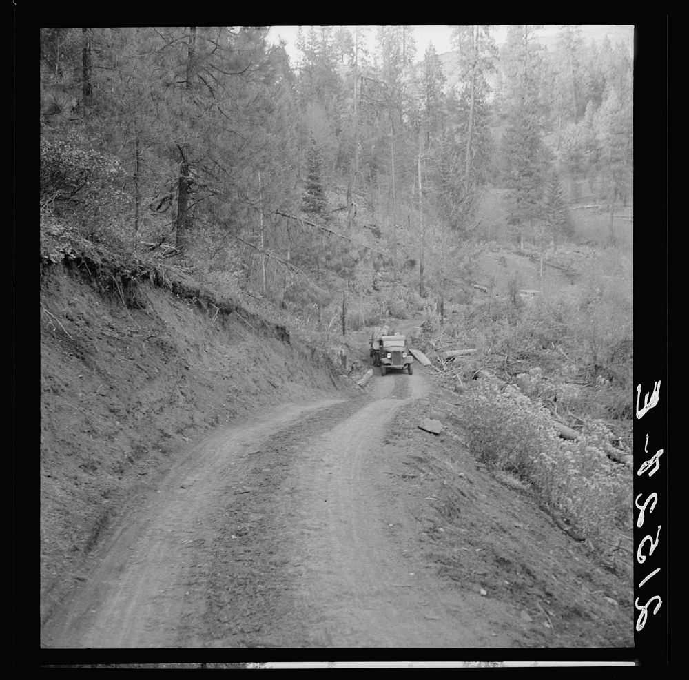 [Untitled photo, possibly related to: Bringing in load of logs late in the afternoon from the woods to the mill over road…
