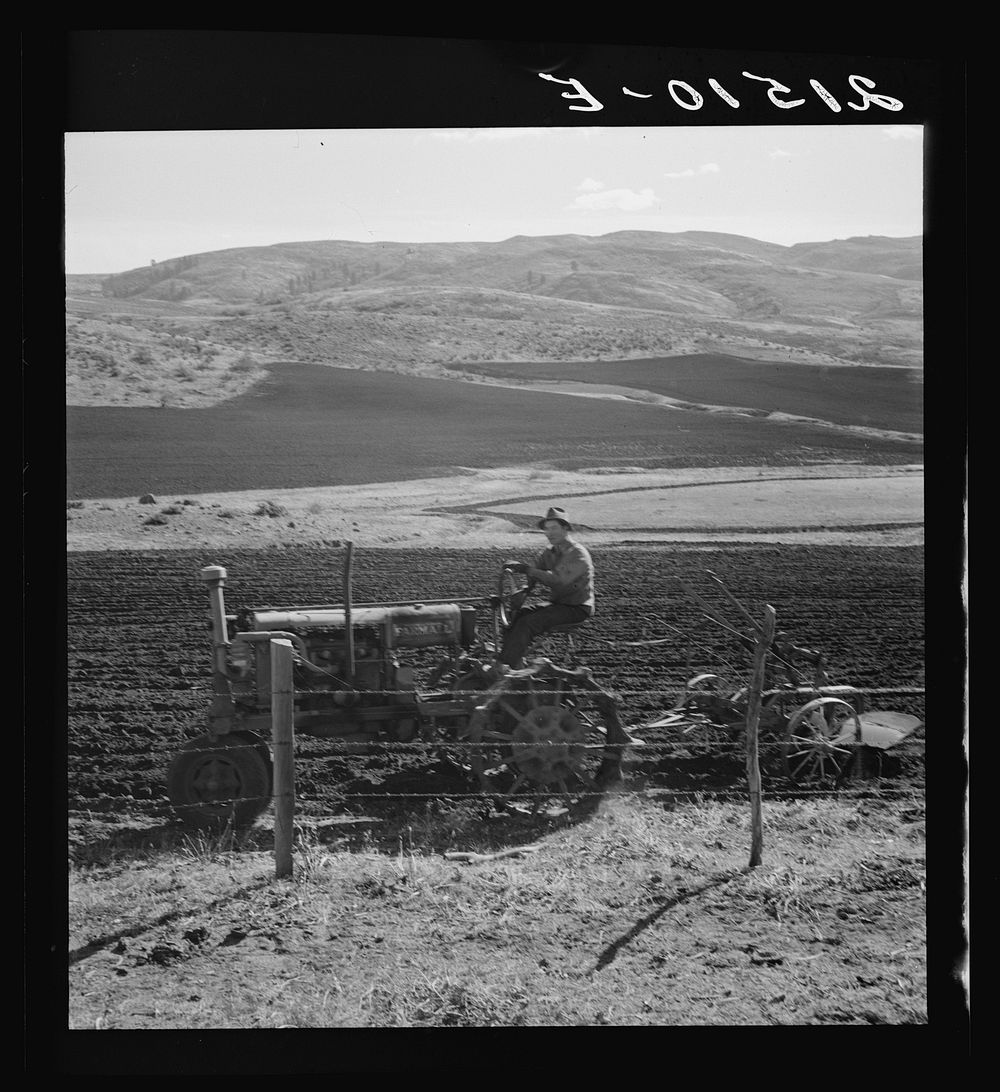 [Untitled photo, possible realted to: Young Idaho farmer plowing in the fall of the year while the other members of the Ola…