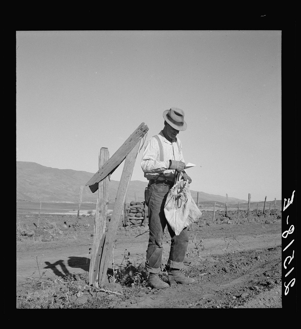 Farmer getting the morning mail. Gem County, Idaho. Sourced from the Library of Congress.