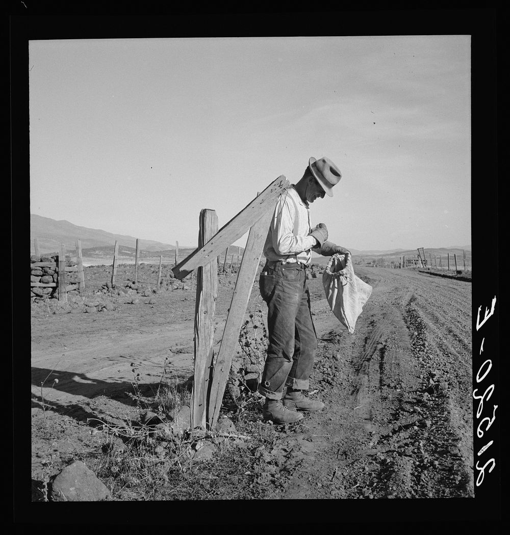 [Untitled photo, possibly related to: Farmer getting the morning mail. Gem County, Idaho]. Sourced from the Library of…