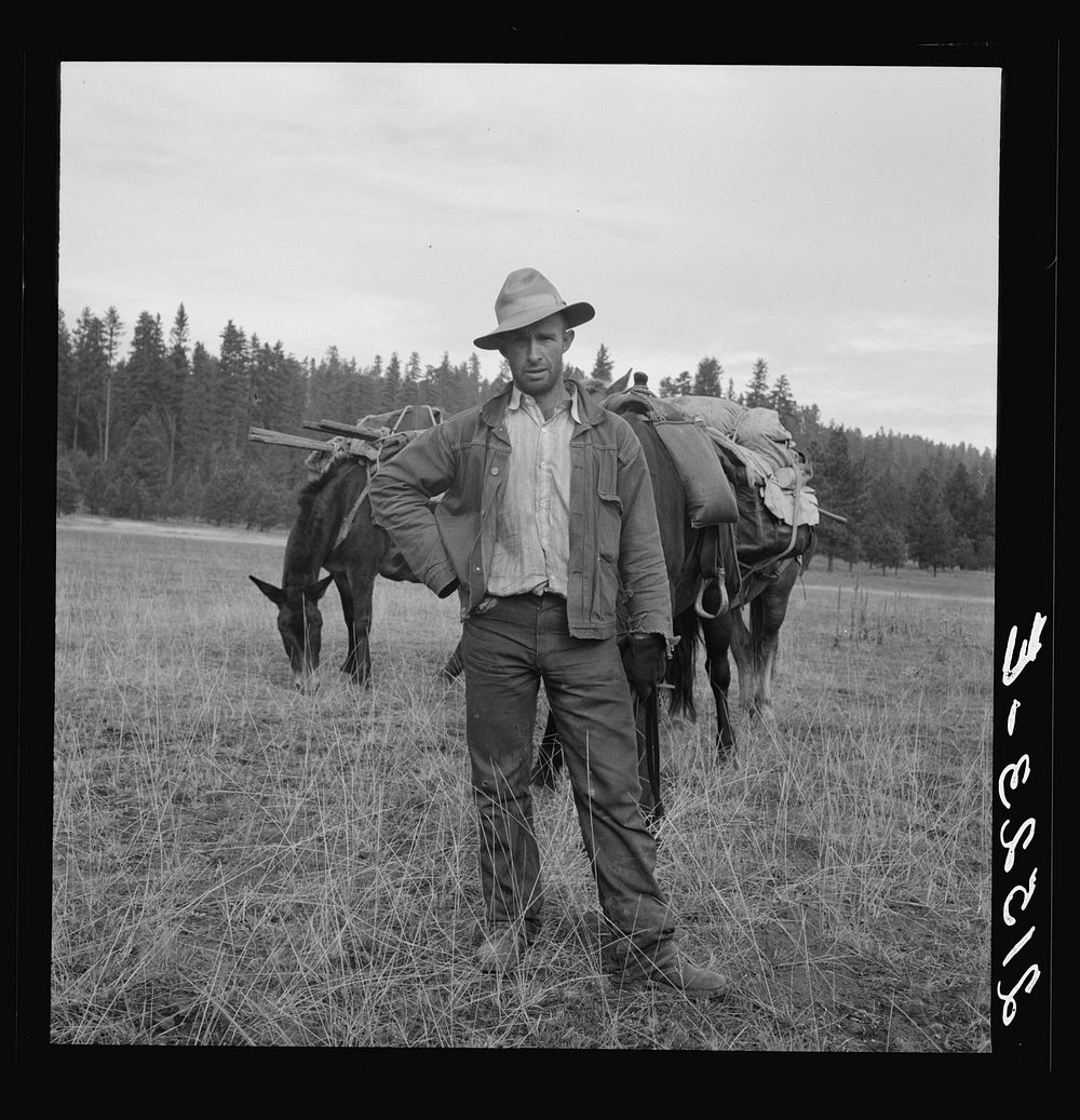 [Untitled photo, possibly related to: Basque sheep herder who speaks broken English coming down from summer camp with pack…
