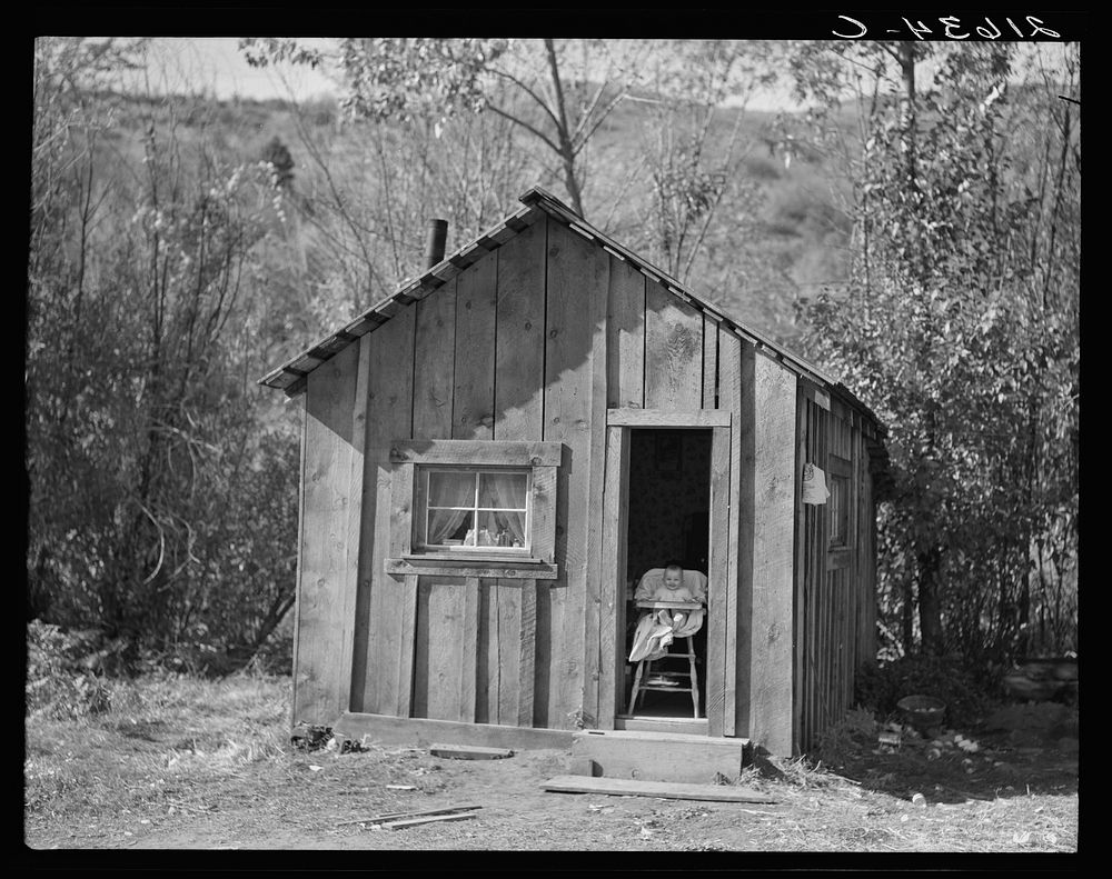 Home of one member of Ola self-help sawmill co-op, Gem County, Idaho. "She likes to sit in the door and watch the geese."…
