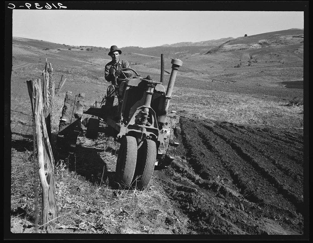 Young farmer plowing while other co-op members work in the sawmill. The tractor does work for five member families. Ola self…
