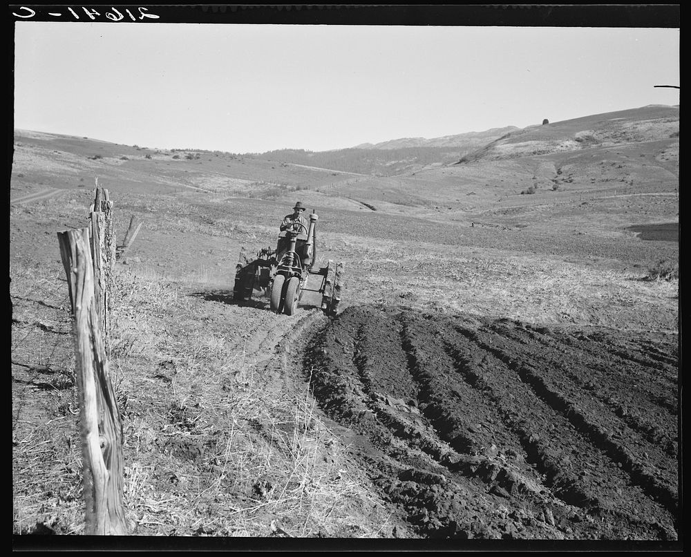 Young farmer, member of Ola self-help sawmill co-op, plowing while others work in sawmill. Gem County Idaho. General caption…