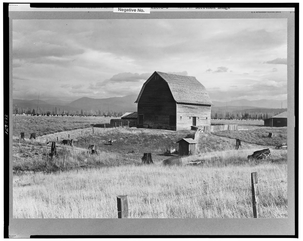 Type barn, characteristic of Idaho, on farm of older settler. Boundary County, Idaho by Dorothea Lange