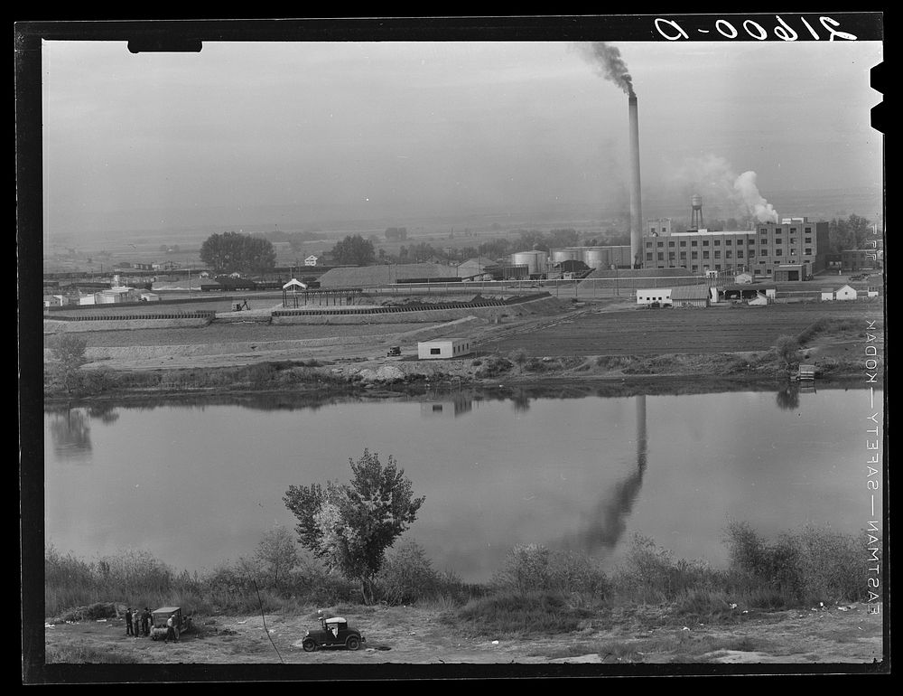 [Untitled photo, possibly related to: Sugar beet factory along Snake River. Shows beet dump, beet pile. Nyssa, Malheur…