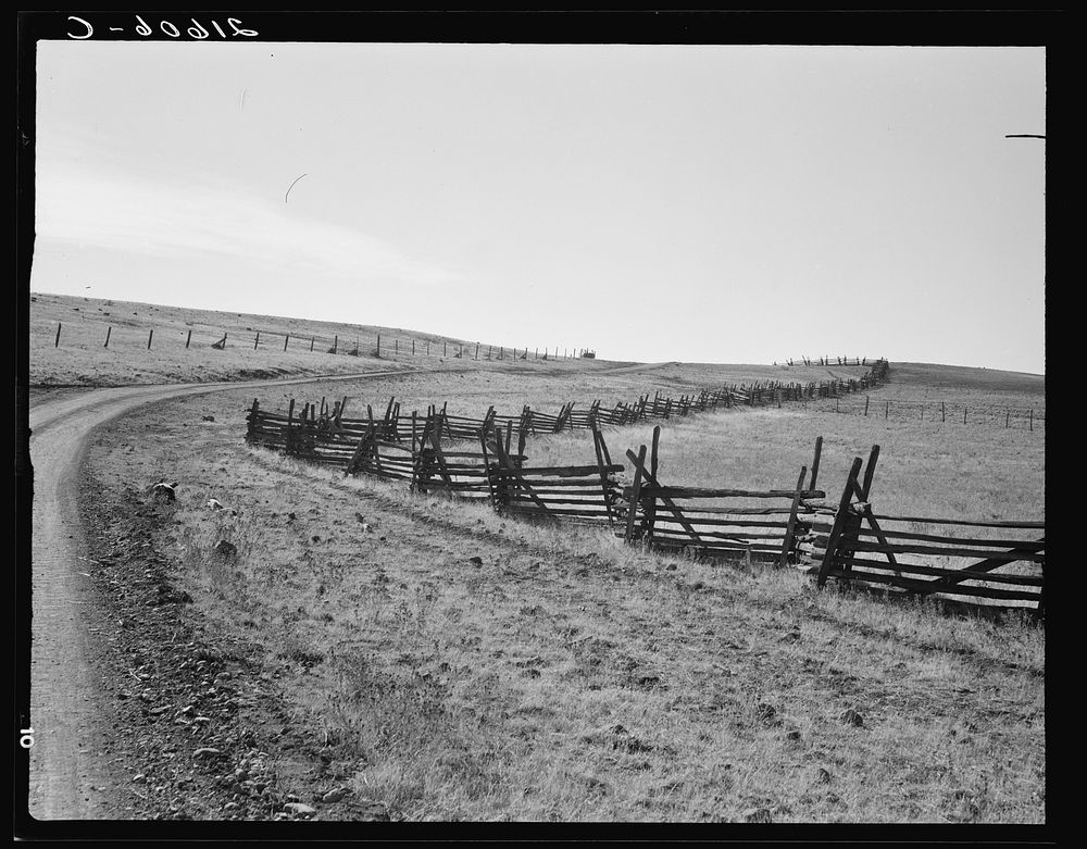 Road going up Squaw Creek Valley, leaving Ola. Fence was built in 1890.  Ola self-help sawmill co-op. Gem County, Idaho.…