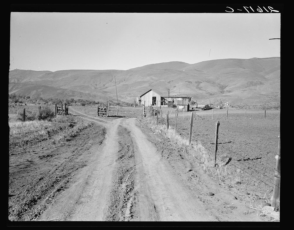 A new house for descendant of old Idaho family, now a member of Ola self-help sawmill co-op. Gem County, Idaho. Lumber was…