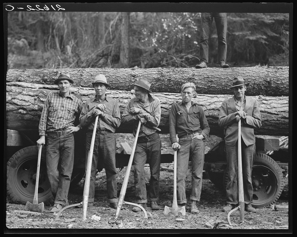 Five Idaho farmers, members of Ola self-help sawmill co-op, in the woods standing against a load of logs ready to go down to…