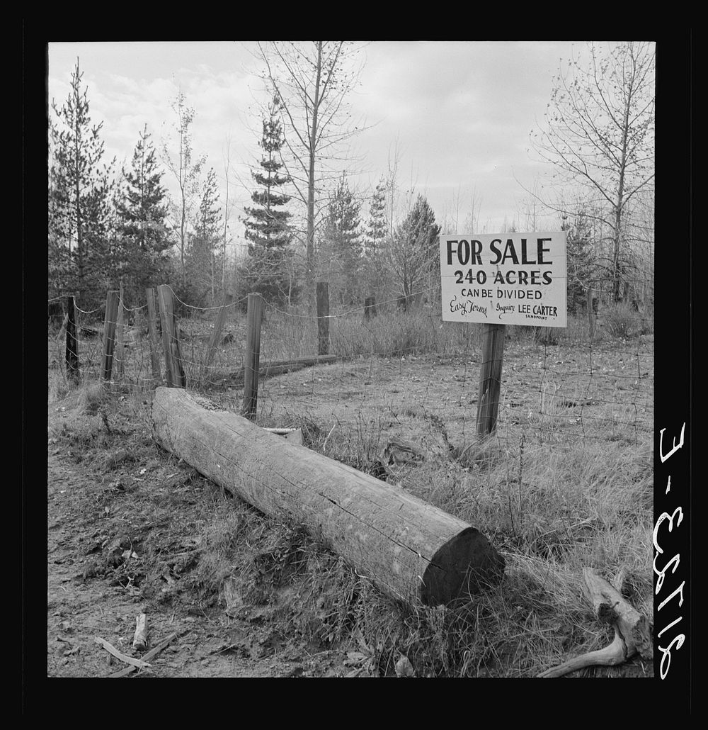 Sign on back road in cut-over area. Boundary County, Idaho. See general caption 49. Sourced from the Library of Congress.
