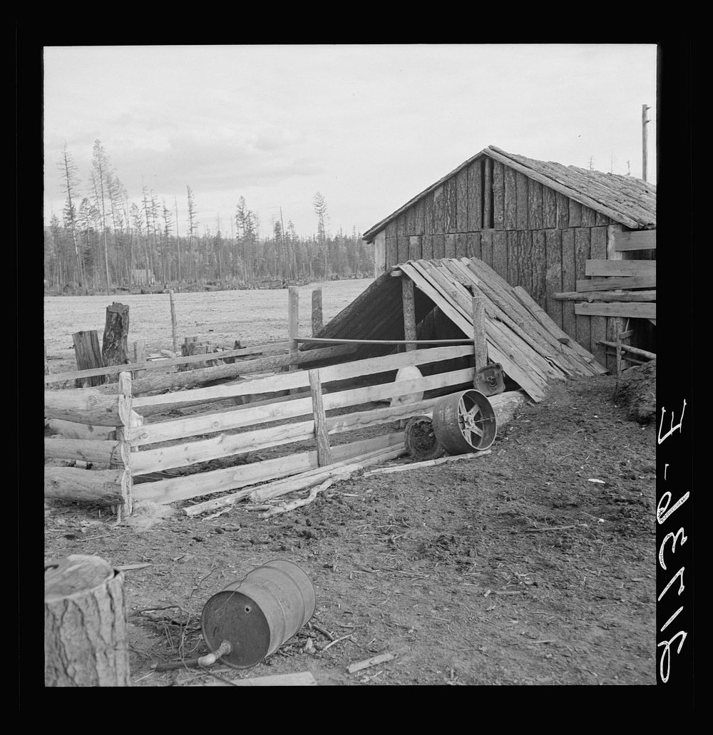Farm buildings, slab construction, on new stump farm. Boundary County, Idaho. See general caption 49. Sourced from the…