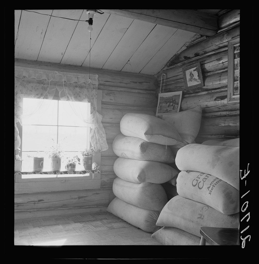 [Untitled photo, possibly related to: Interior of farmer's two-room log home. FSA (Farm Security Administration) borrower.…